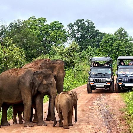 Jungle Lodge อุดาวาลาเว ภายนอก รูปภาพ