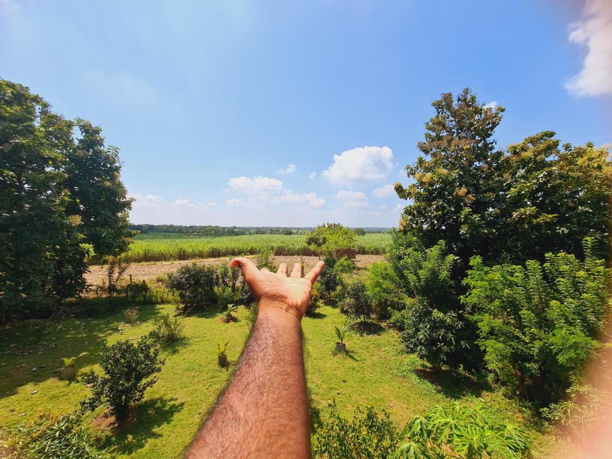 Jungle Lodge อุดาวาลาเว ภายนอก รูปภาพ